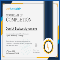 Digital Marketing Strategy 