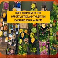 Brief overview of Asian Markets