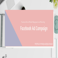 portfolio in Facebook Ad campaign-