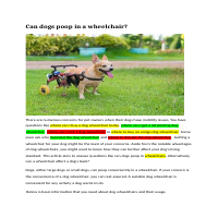 Animal Focused Article