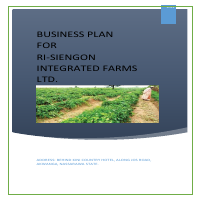 Business Plan 