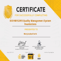 ISO 9001: QMS
