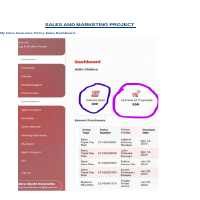 Sales and Marketing Project Portfolio At Heirs Insurance