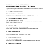 Virtual Assistant portfolio 
