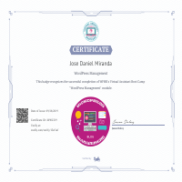 Wordpress Management