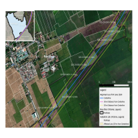 Map and Data Analysis