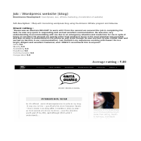 Help with monetizing WordPress blog