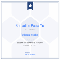 FB Ads Blueprint