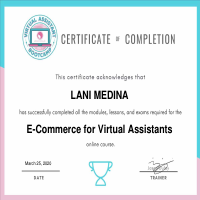E-commerce VA Certificate