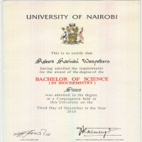 Bachelors Certificate