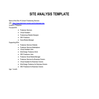 SEO Site Analysis
