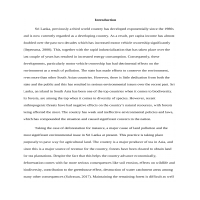 Literature review essay