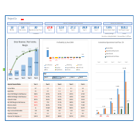 Project model with  ratios