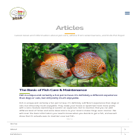 Article Writing - Fish Care