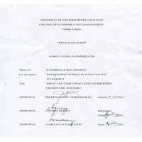 Thesis_Bachelor's Degree