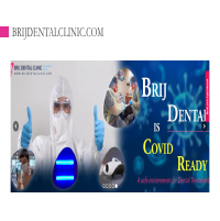 SEO Case Studies