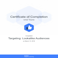 Targeting: Lookalike Audiences
