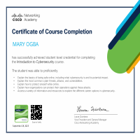 INTRODUCTION TO SECURITY 