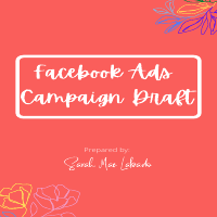 Facebook Ads Campaign Draft 