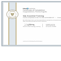 SQL Essential Training