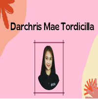 Portfolio - Virtual Assistant
