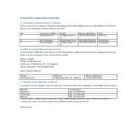 Data Entry Specialist Portfolio