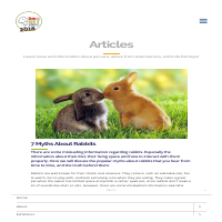Article Writing - 7 Myths About Rabbit