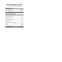 Xero Statement of Profit and Loss