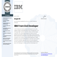 IBM Front End Developer 
