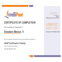 CBAP Certified Course
