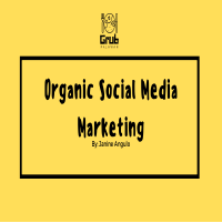 Organic Social Media Marketing