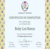 Website builder certificate
