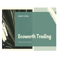Shopify store