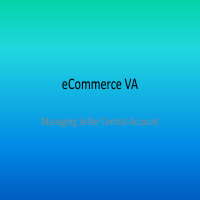 eCommerce VA portfolio