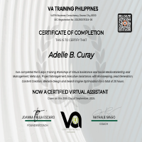 Certificate for SMM and GVA
