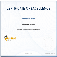 Amazon Seller VA Masterclass Certificate