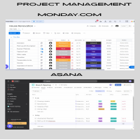 . Using tools like Monday.com and Asana, I coordinate tasks