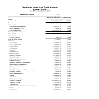 Sample Profit & Loss Analysis