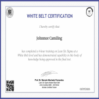 Lean Six Sigma White Belt