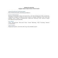 Virtual Assistant Task Organizer