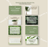 Instagram Social Media Designs For House Plants