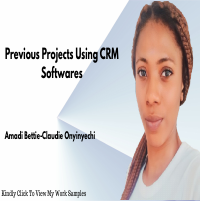 Customer Support portfolio 