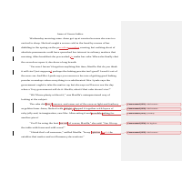 Essay