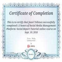 SMM Platform Social Report Tutorial Online Course