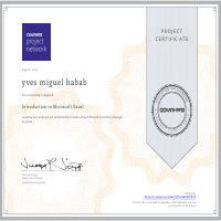 Coursera Certificate - Introduction to Excel