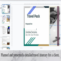 Prepared a detailed Travel itinerary.