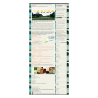 WordPress Management