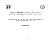 This is my final thesis.