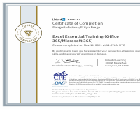 Excel Essential Training (Office 365/Microsoft 365