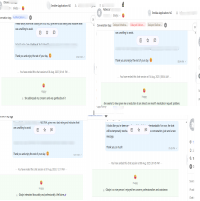 Customer Support – Chat Assistance & Client Satisfaction